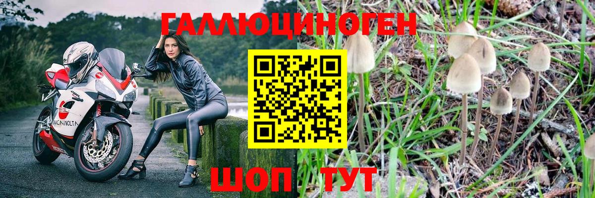 Галлюциногенные грибы прущие грибы  Вход с VPN  Можга 